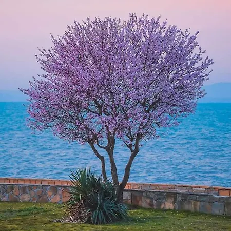 за гости West 3*