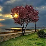 за гости West 3*